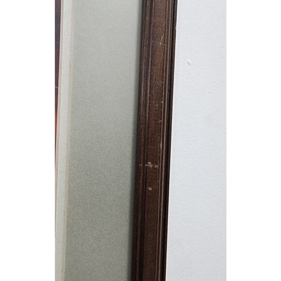 Thomas D. Mangelsen Collector Edition Print of Sandhill Cranes Images of Nature - Picture 11 of 15